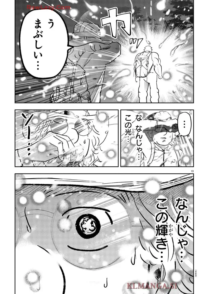 13