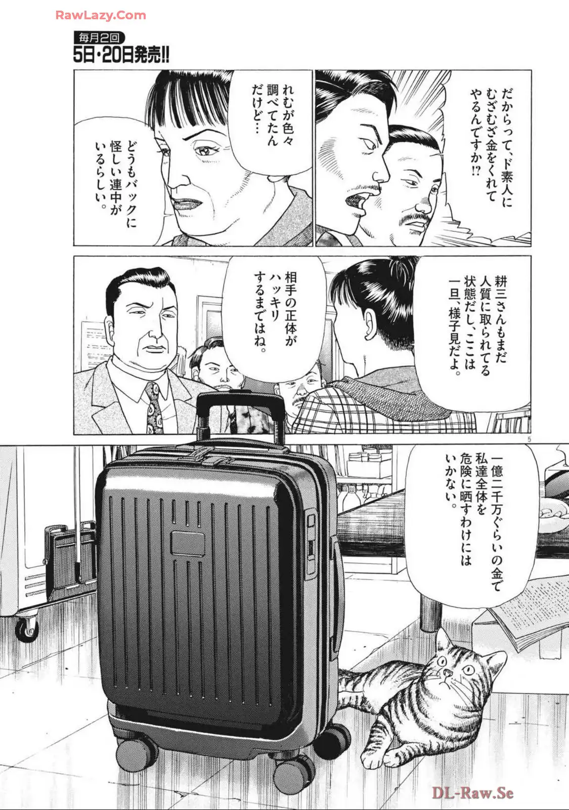 5.jpg