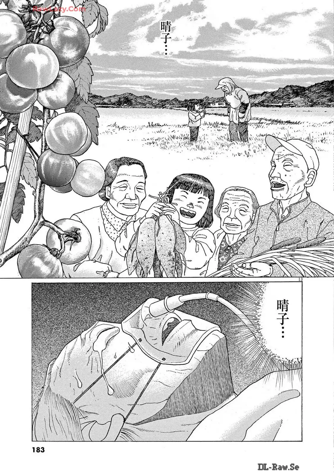 13.jpg