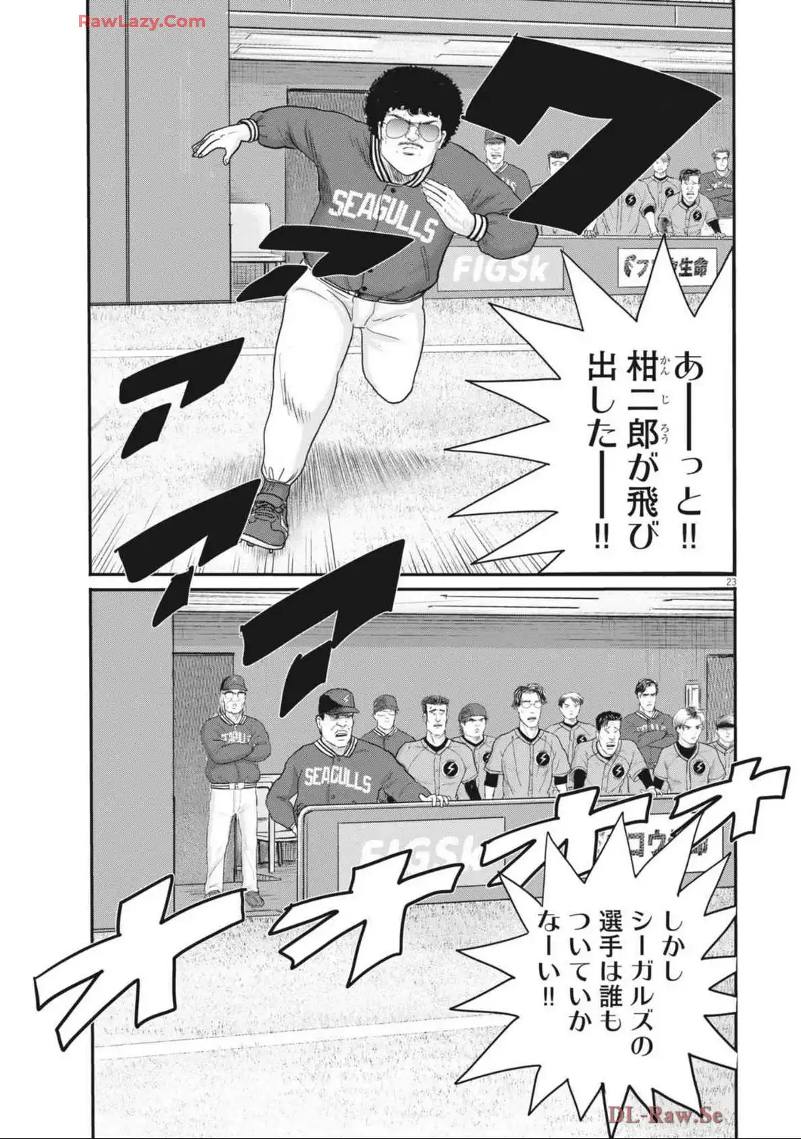 23