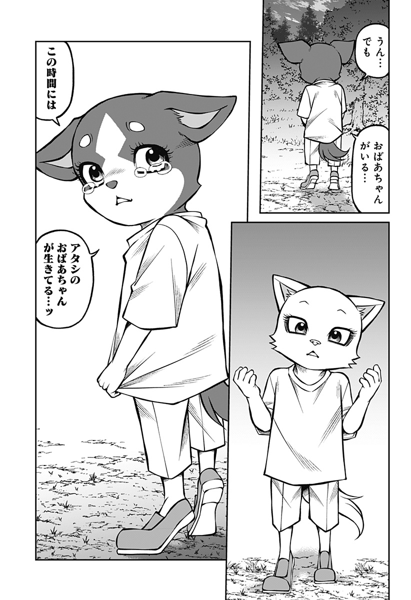 テラリウム 第20話 - Page 19
