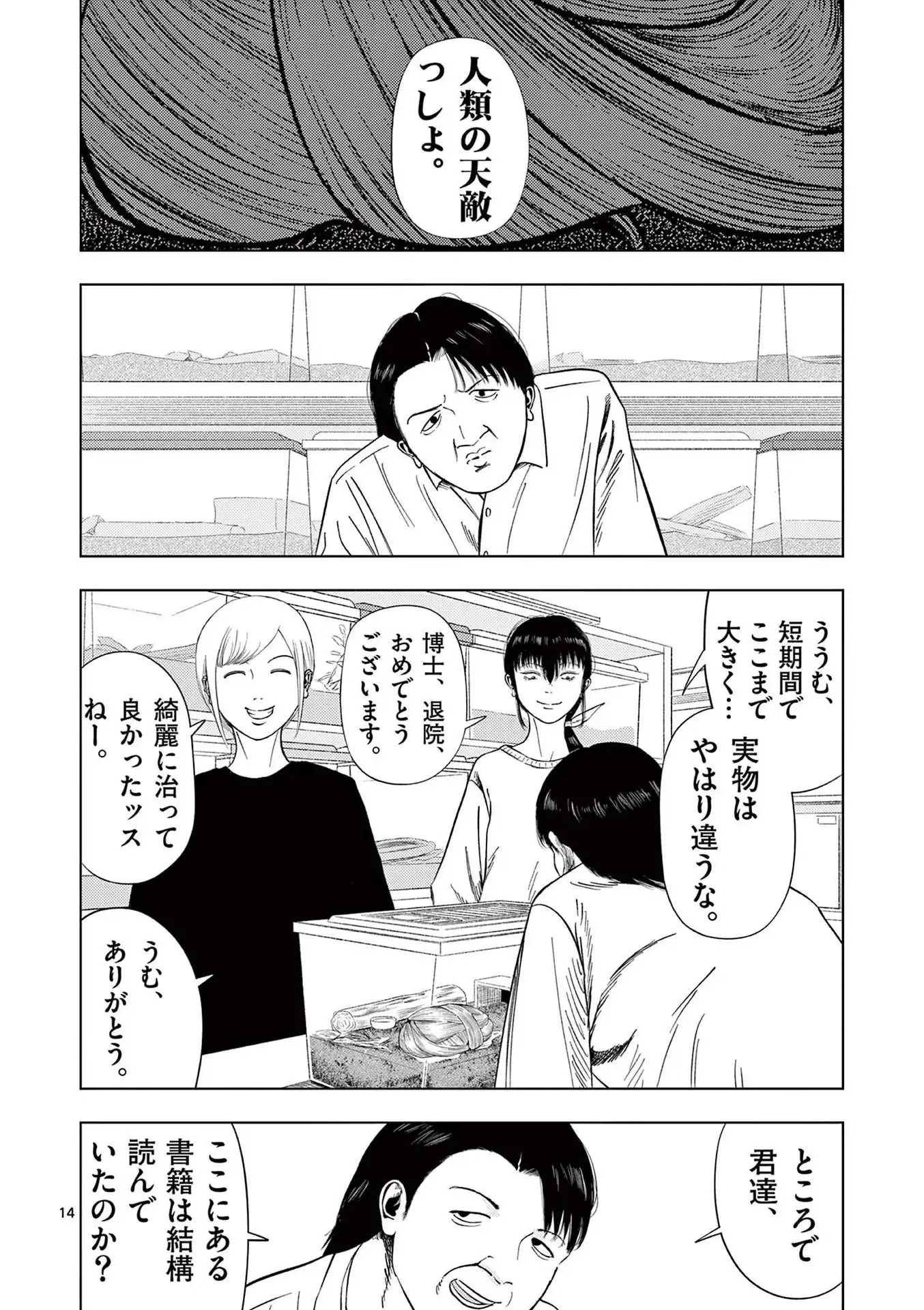 14