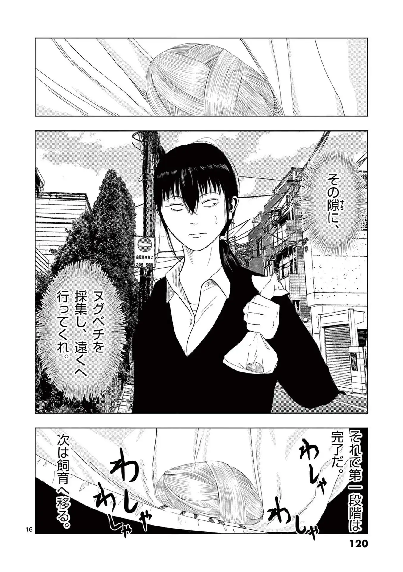 16