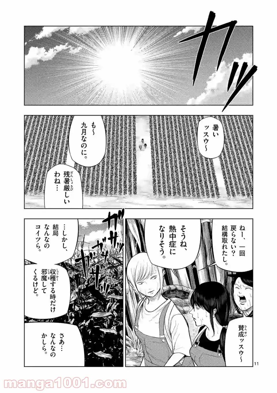 11