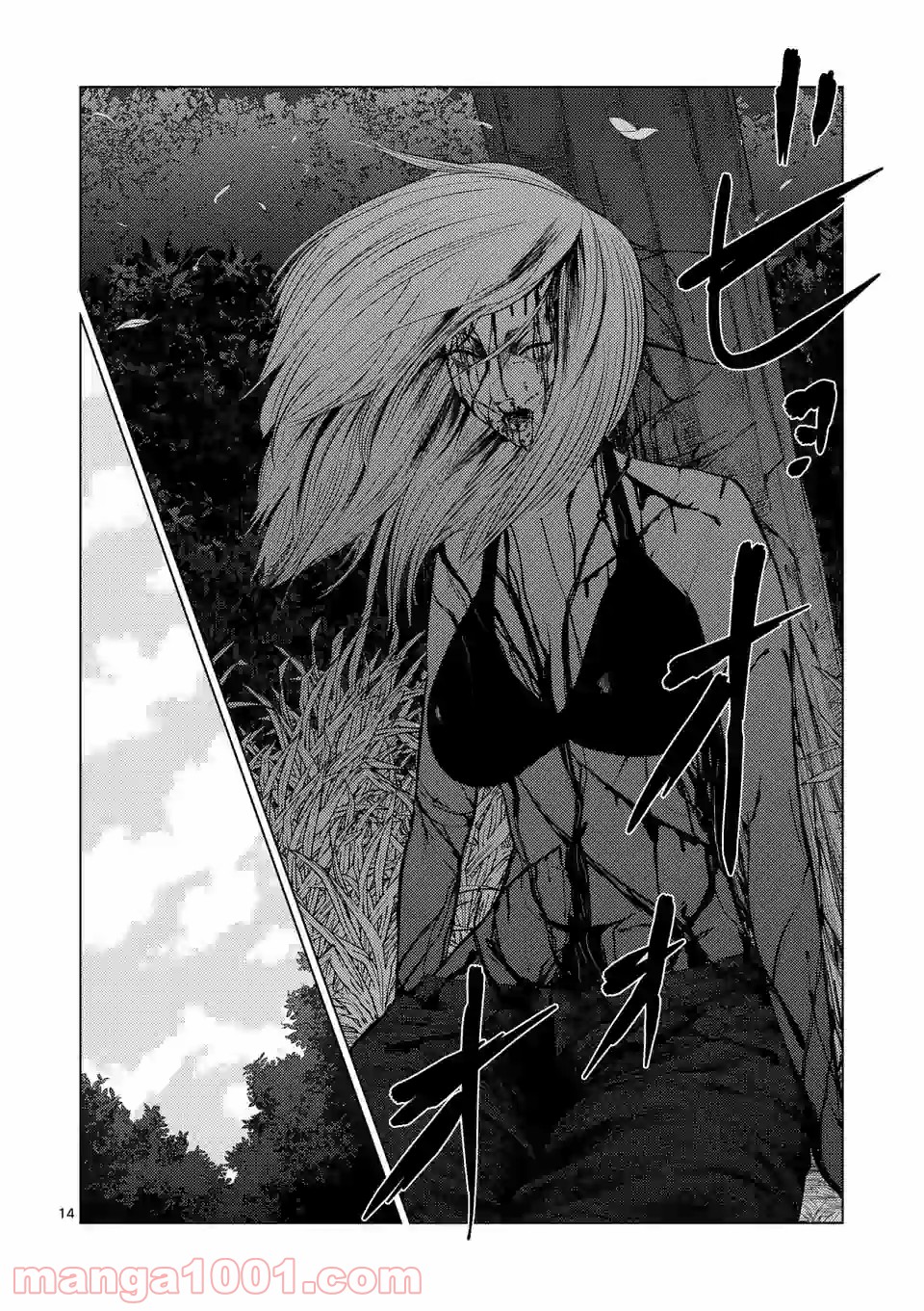 14