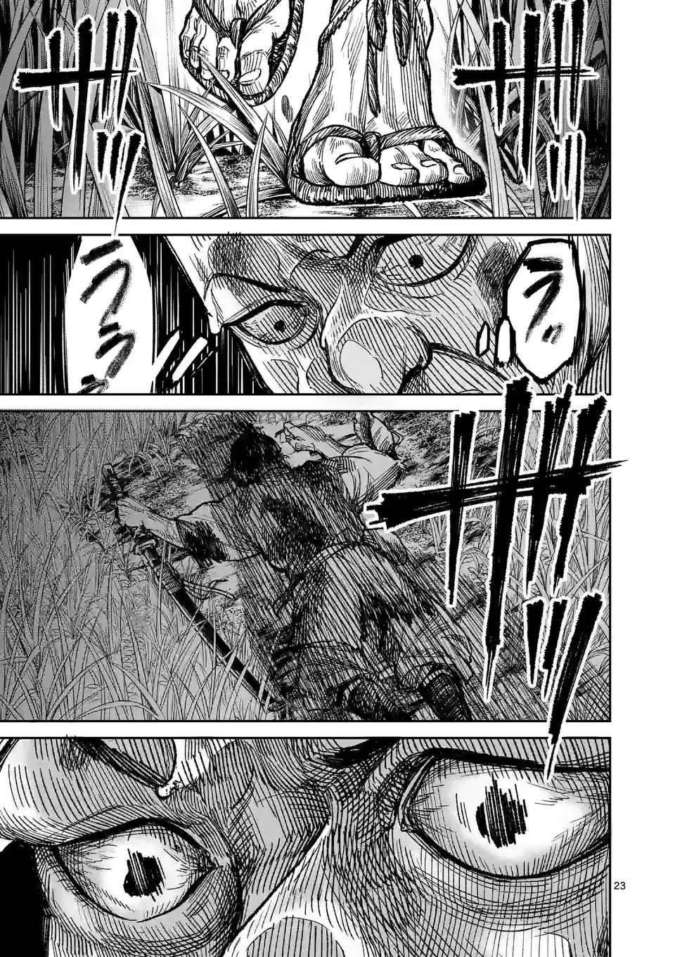 23