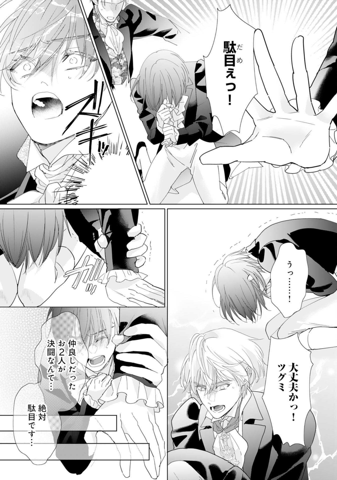 エリート宰相様に拾われたので、男装して秘書をすることになりました 第17話 - Page 6