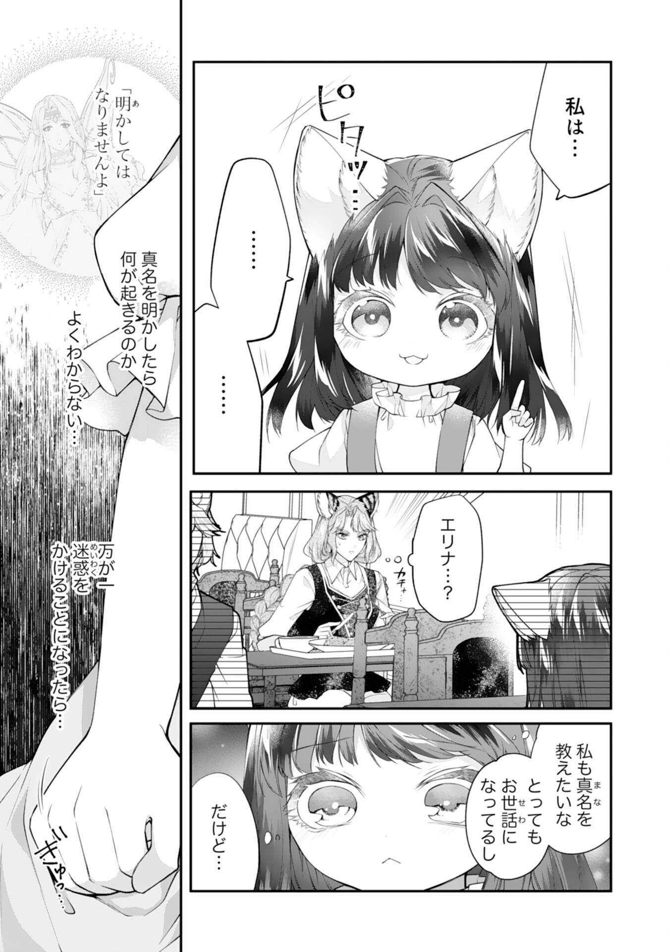 ねこねこ幼女の愛情ごはん～異世界でもふもふ達に料理を作ります！～ 第9話 - Page 11
