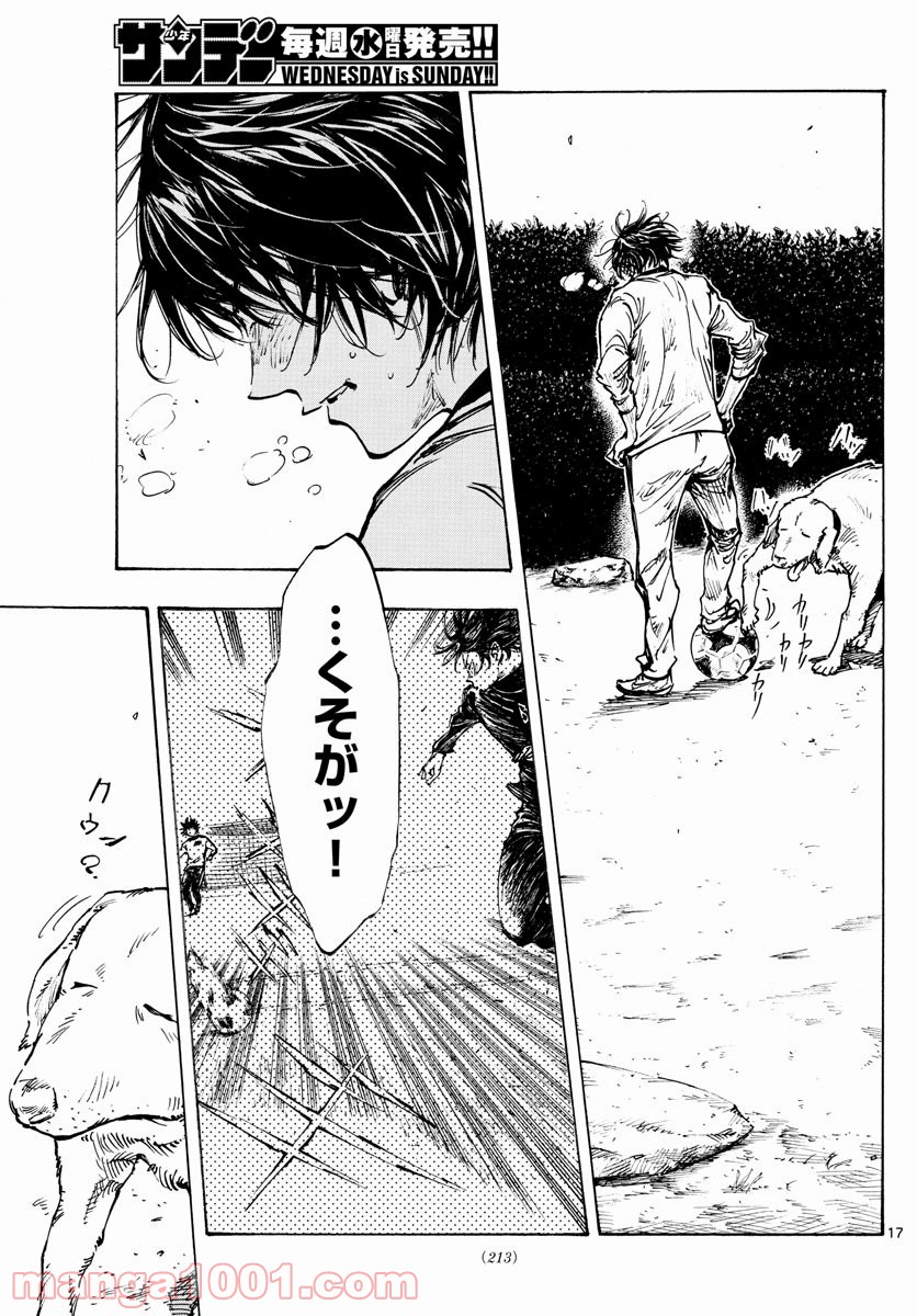 17