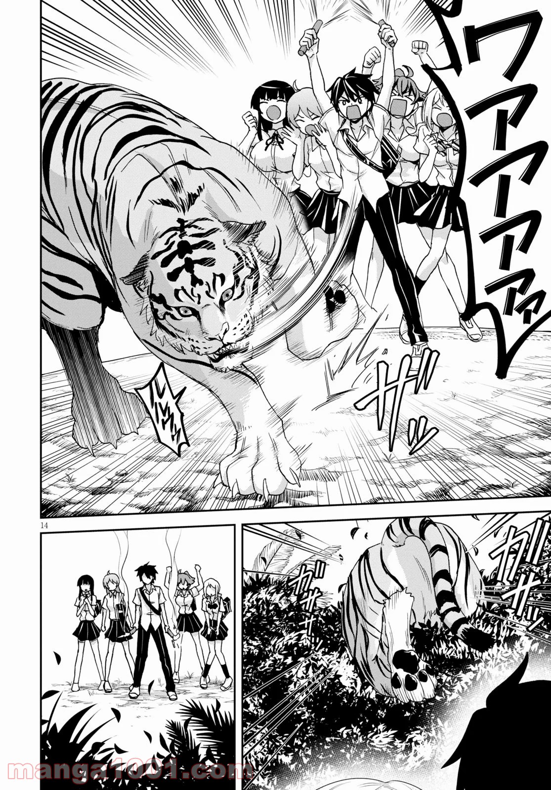 14