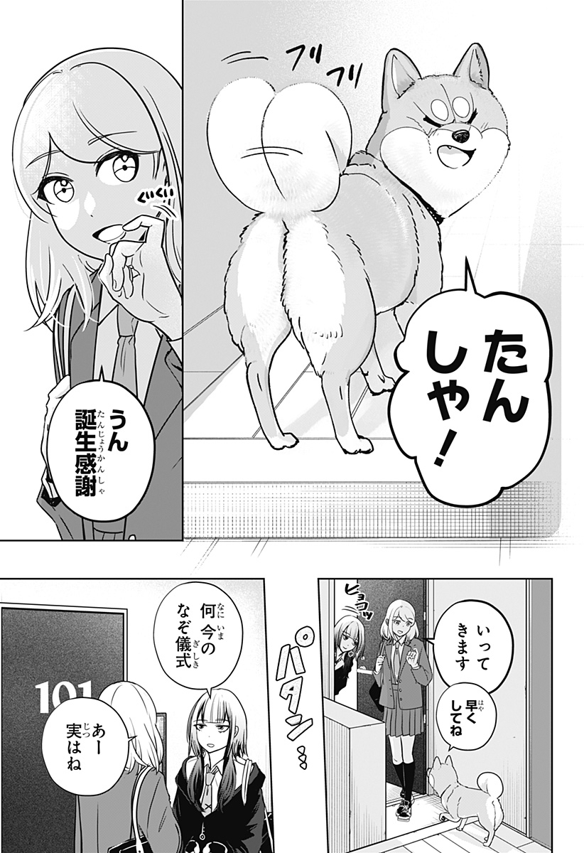 21