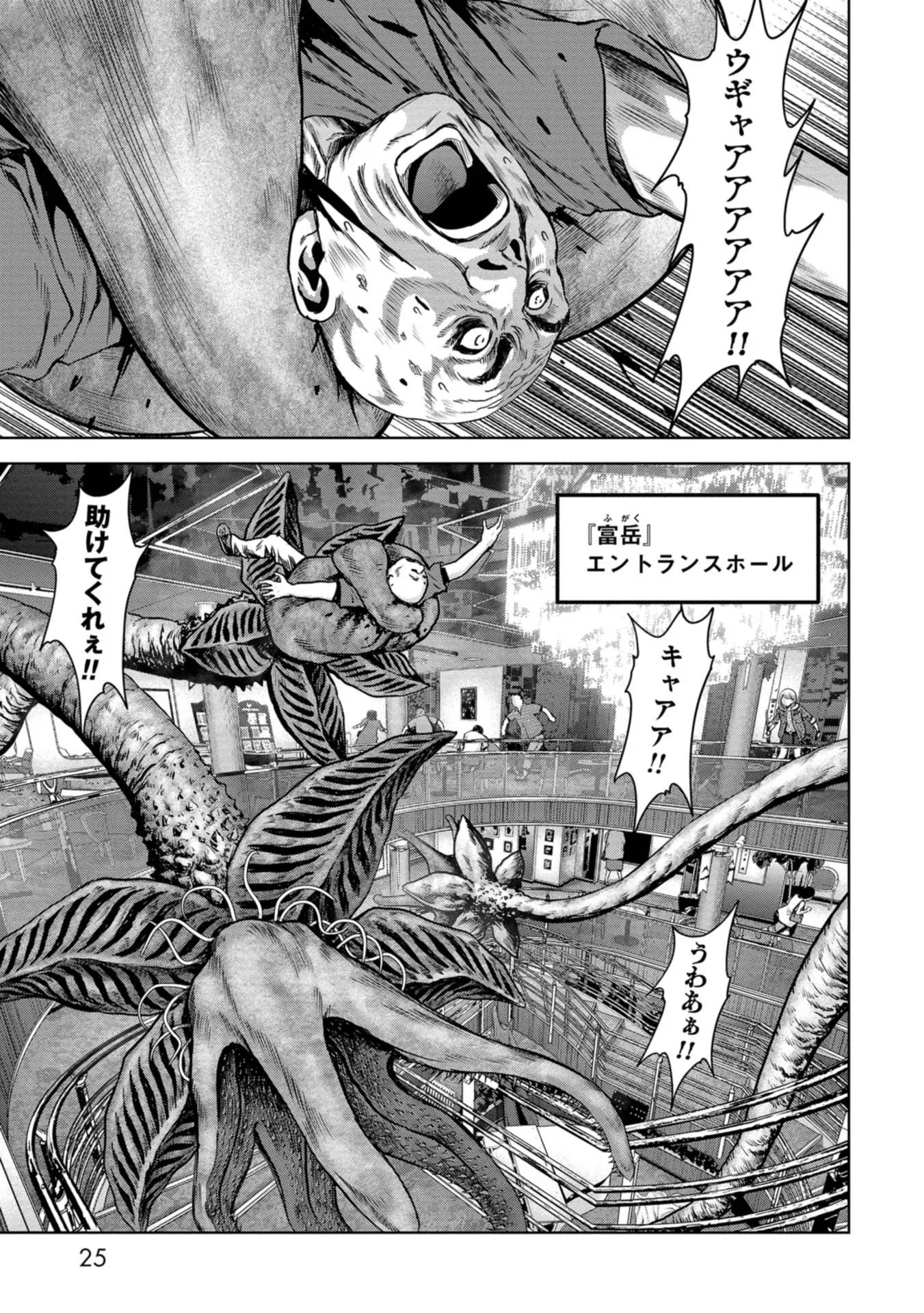 23