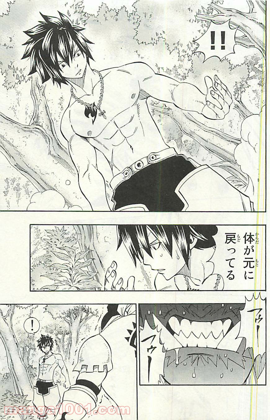 フェアリーテイル 第349話 - Page 17