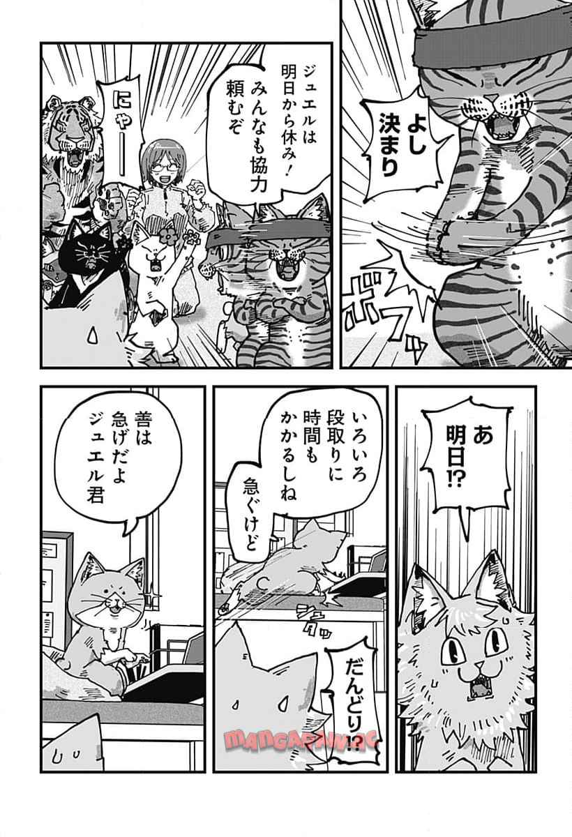 14
