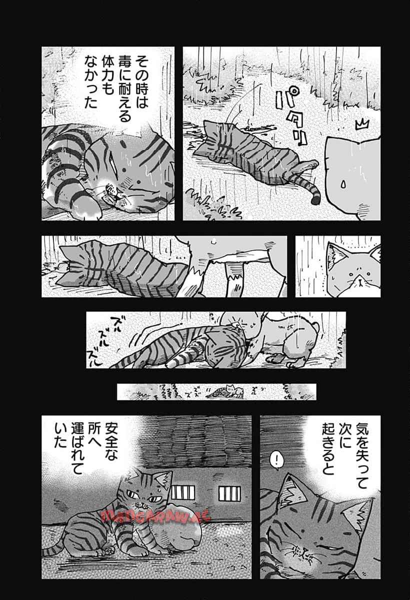 ラーメン赤猫 第117話 - Page 9