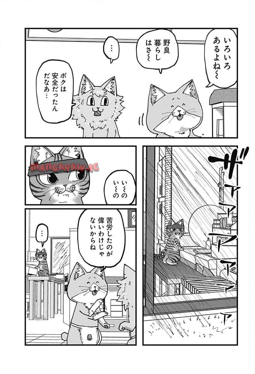 ラーメン赤猫 第117話 - Page 5
