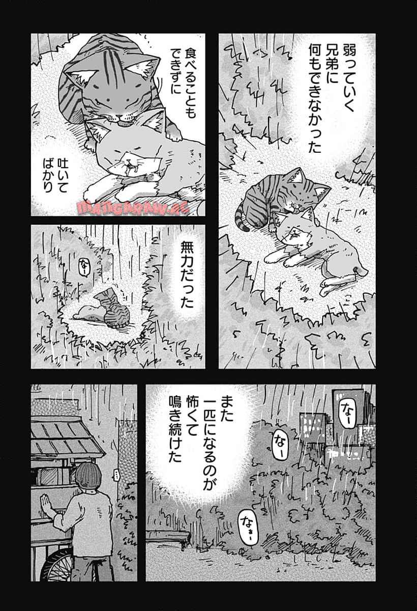 ラーメン赤猫 第117話 - Page 12
