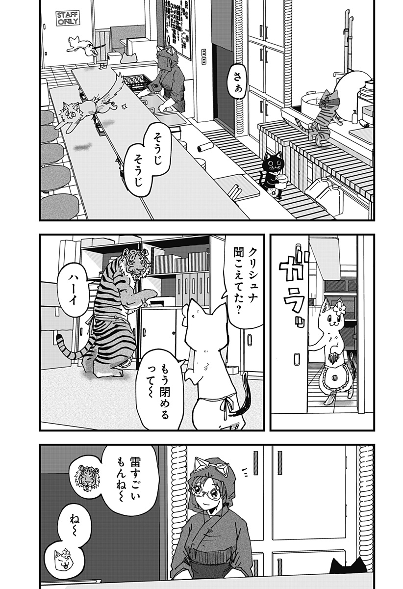13