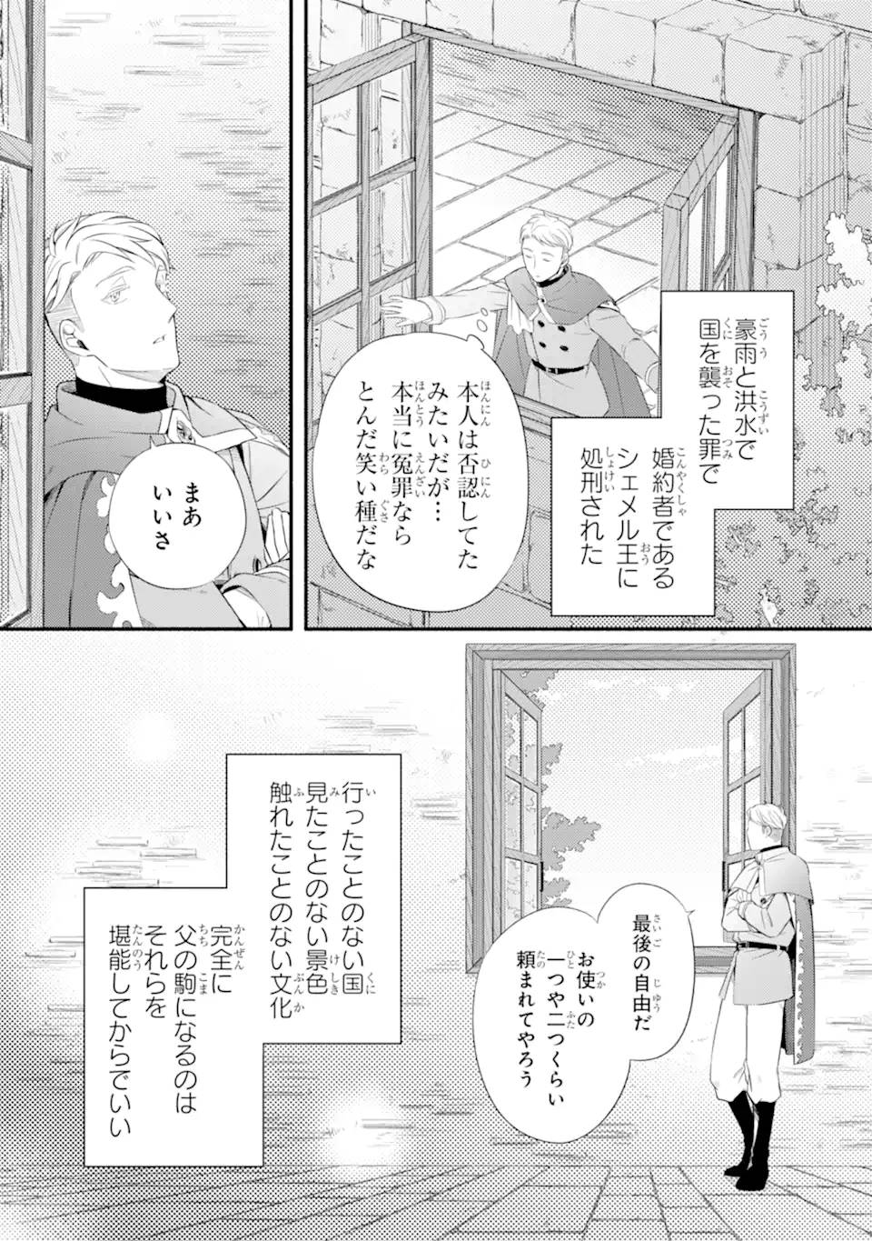 砂漠の国の雨降らし姫～前世で処刑された魔法使いは農家の娘になりました～ 第16.1話 - Page 3