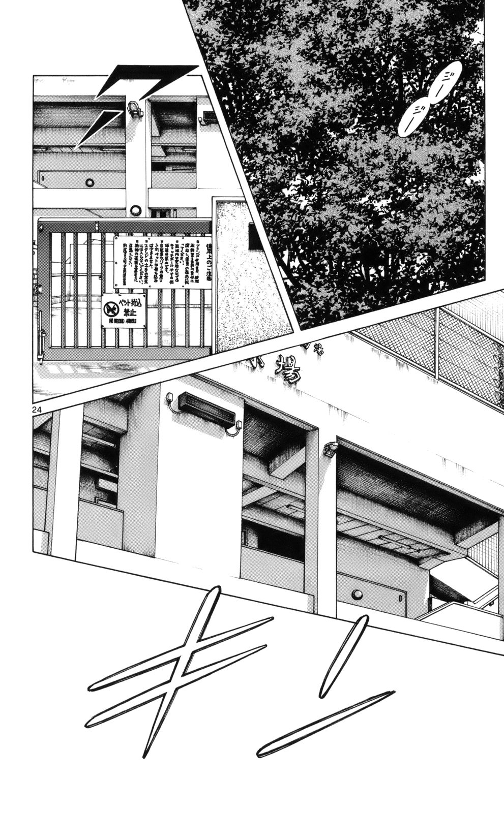 24