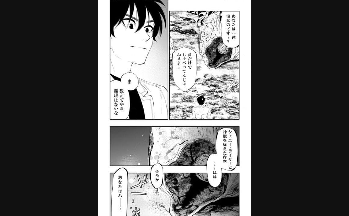 THE NEW GATE ザ・ニュー・ゲート 第96話 - Page 4