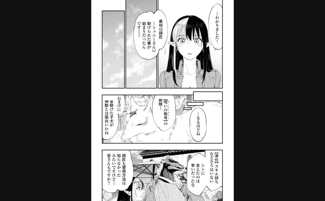 THE NEW GATE ザ・ニュー・ゲート 第97話 - Page 11