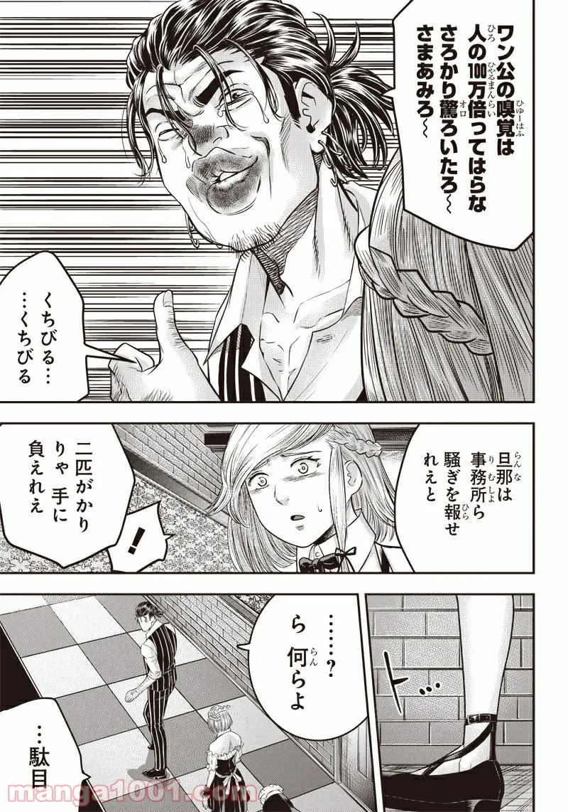 15.jpg