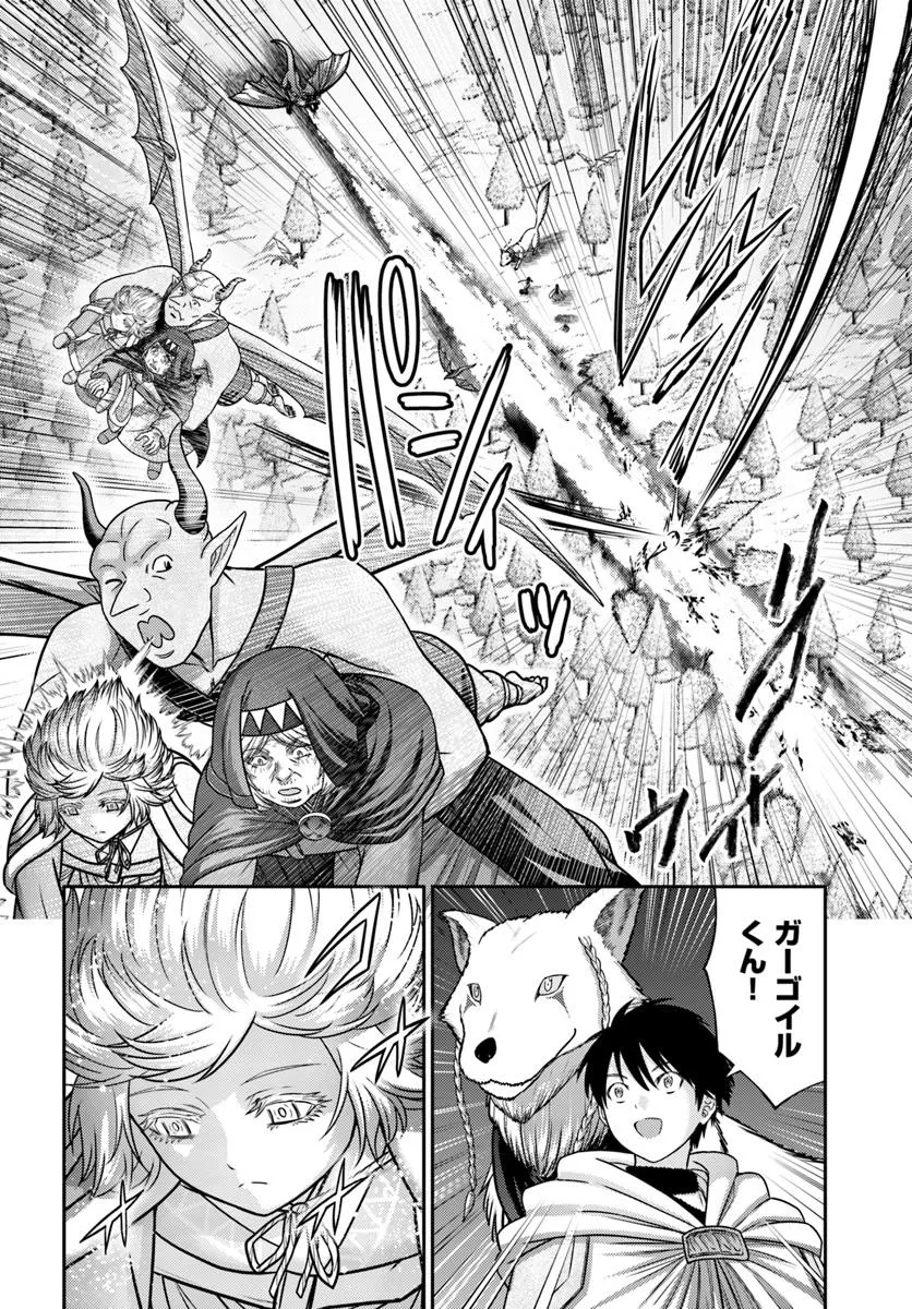 幼馴染のS級パーティーから追放された聖獣使い。万能支援魔法と仲間を増やして最強へ！ - raw - 第45話 - https://jppp.mangajikan.cc/jppp/05022119/ma543qtshmt.webp