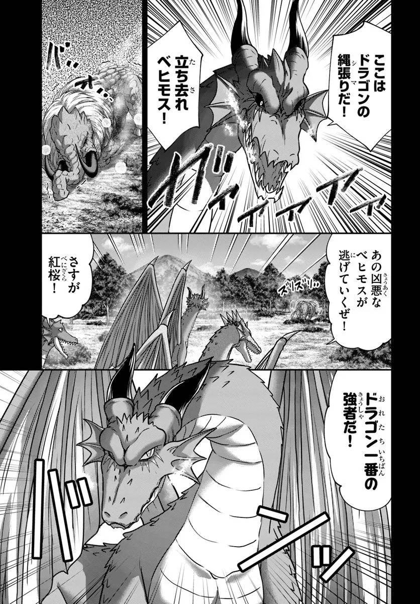 幼馴染のS級パーティーから追放された聖獣使い。万能支援魔法と仲間を増やして最強へ！ - raw - 第46.1話 - https://jppp.mangajikan.cc/jppp/05022119/u032pngx02c.jpg
