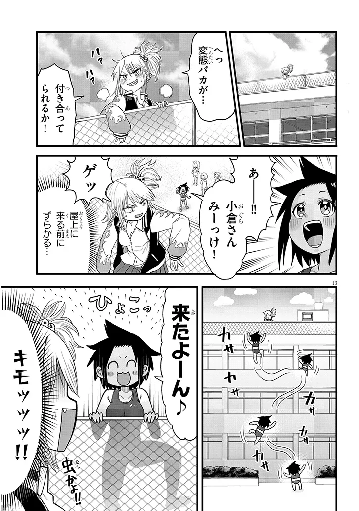 13