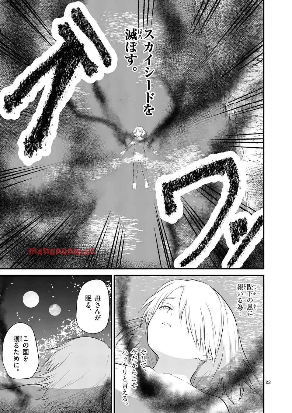 23