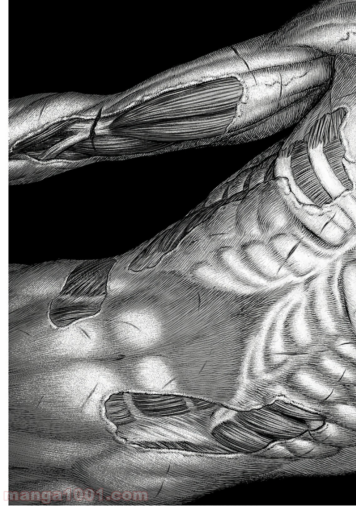 ベルセルク - raw - 第355話 - https://jppp.mangajikan.cc/jppp/05060134/fbb5vrtwbck.jpg