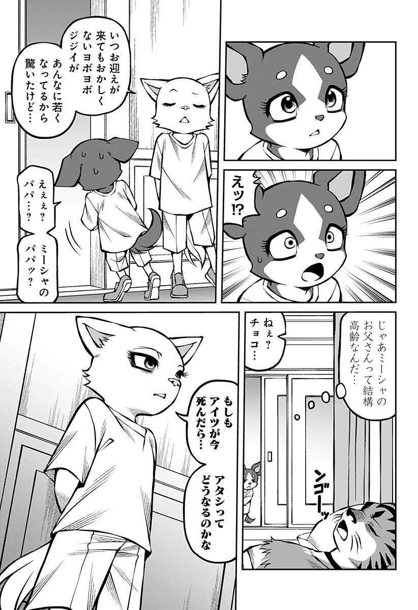 7
