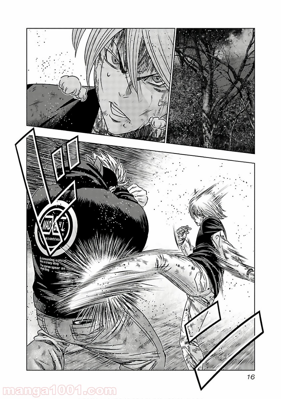 16