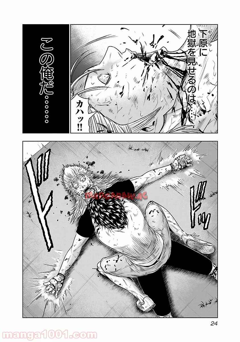 24