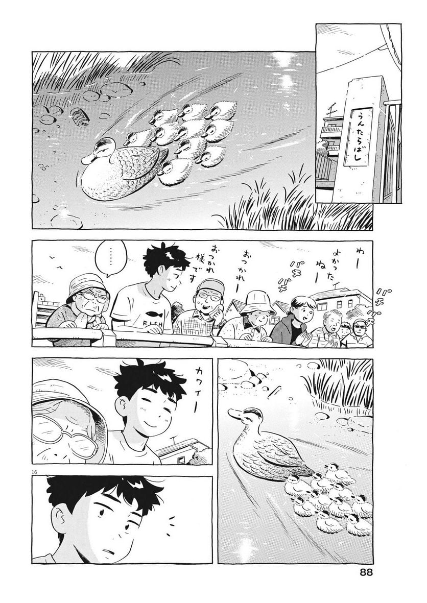 16