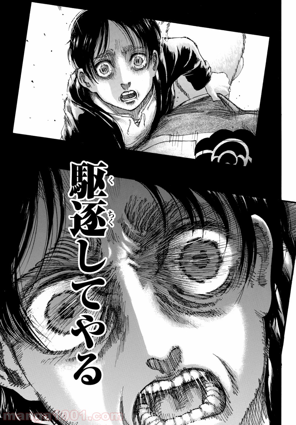43