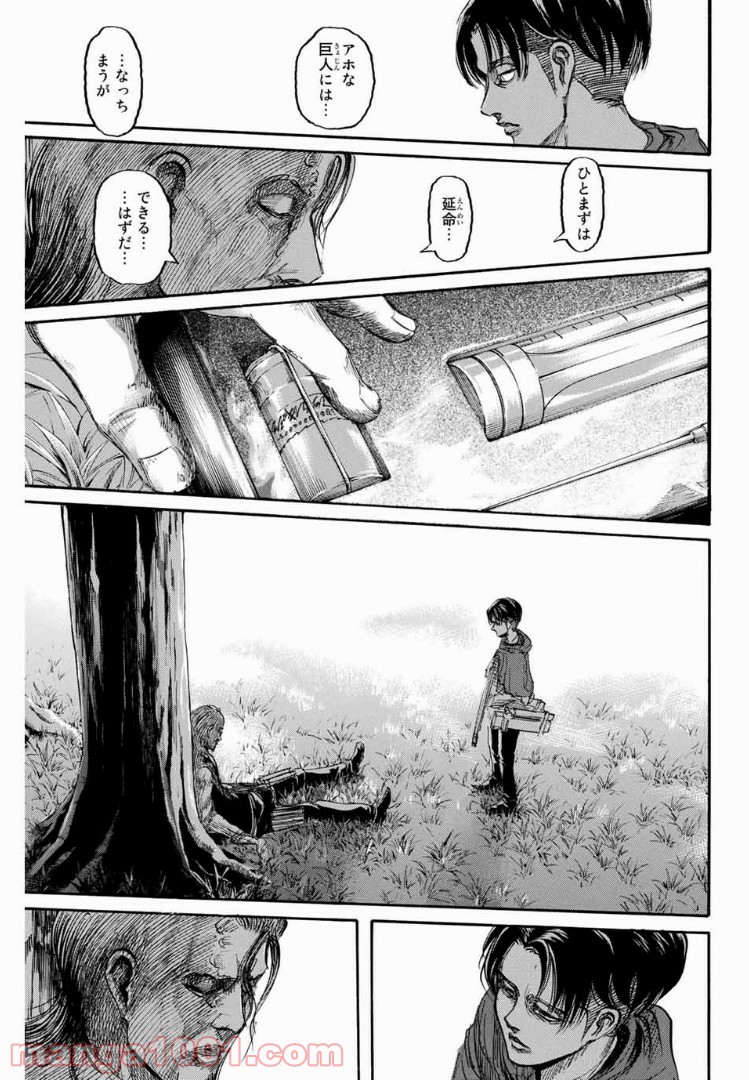 31