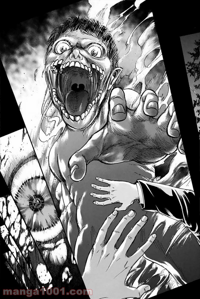 41