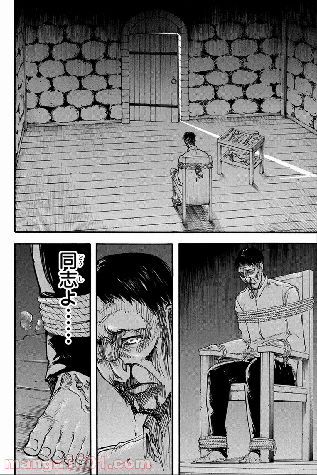 41