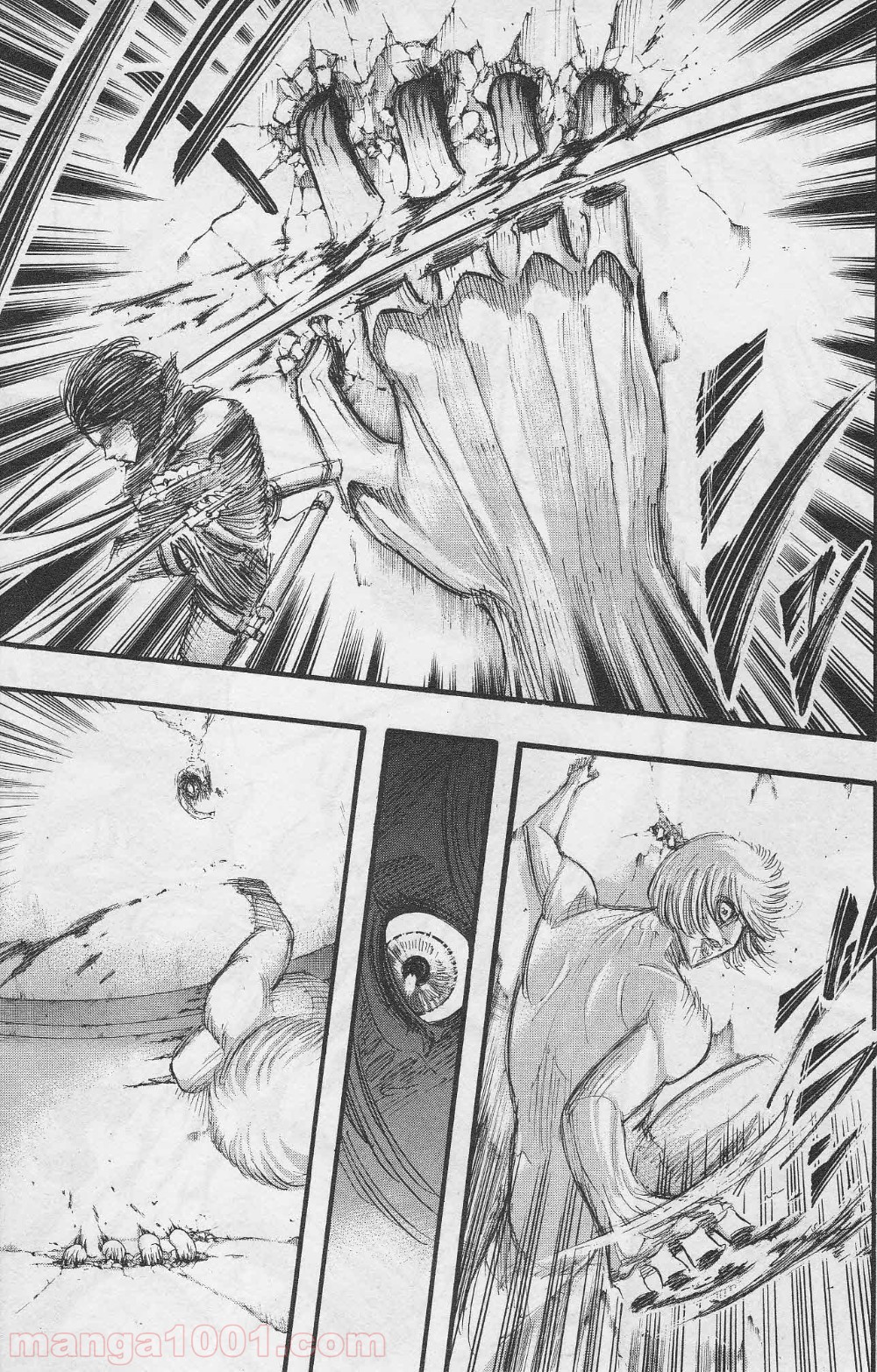 33