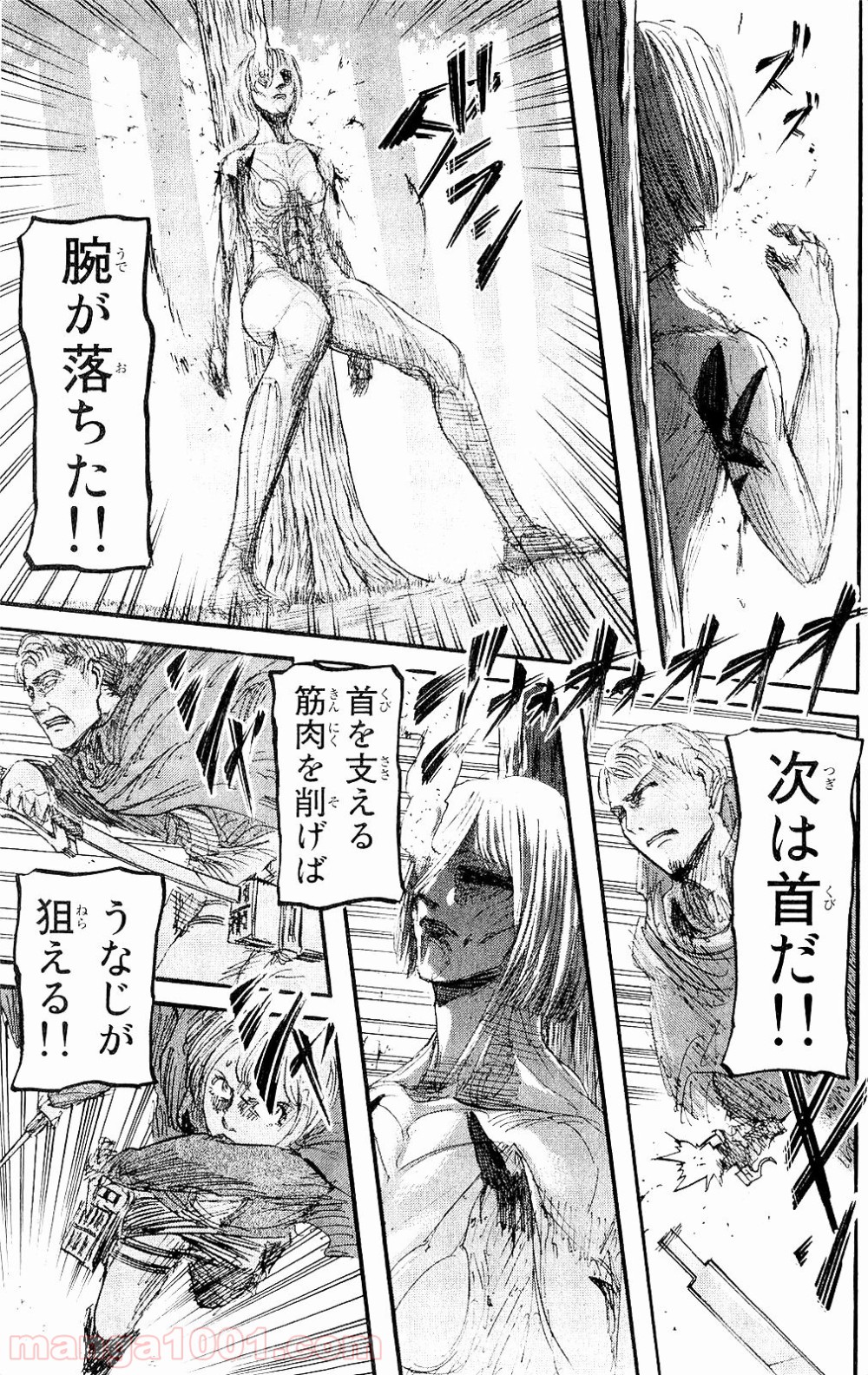 31