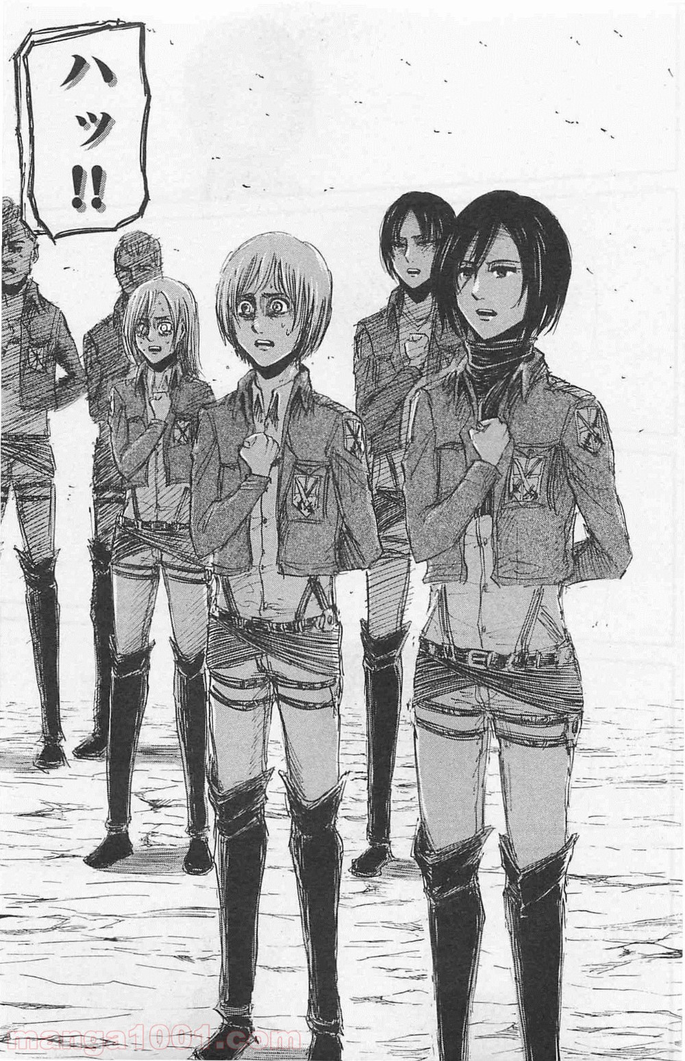 31