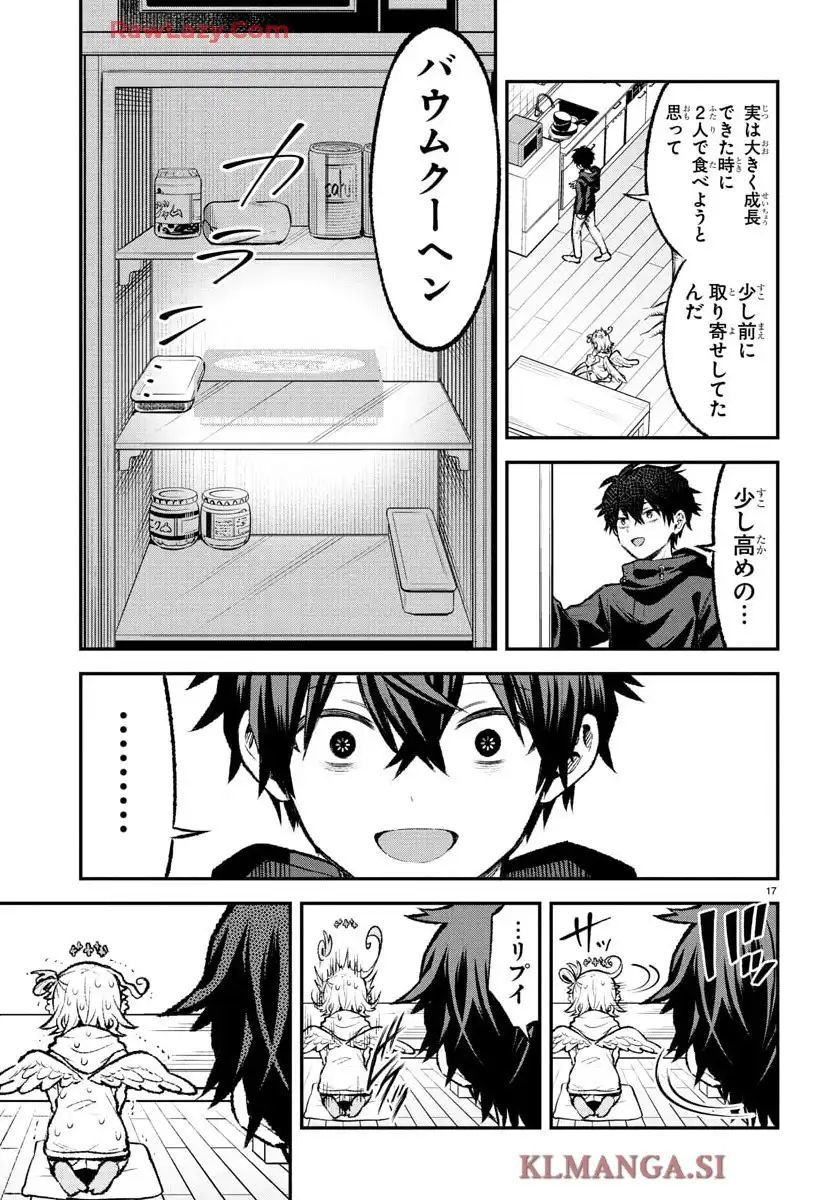 17
