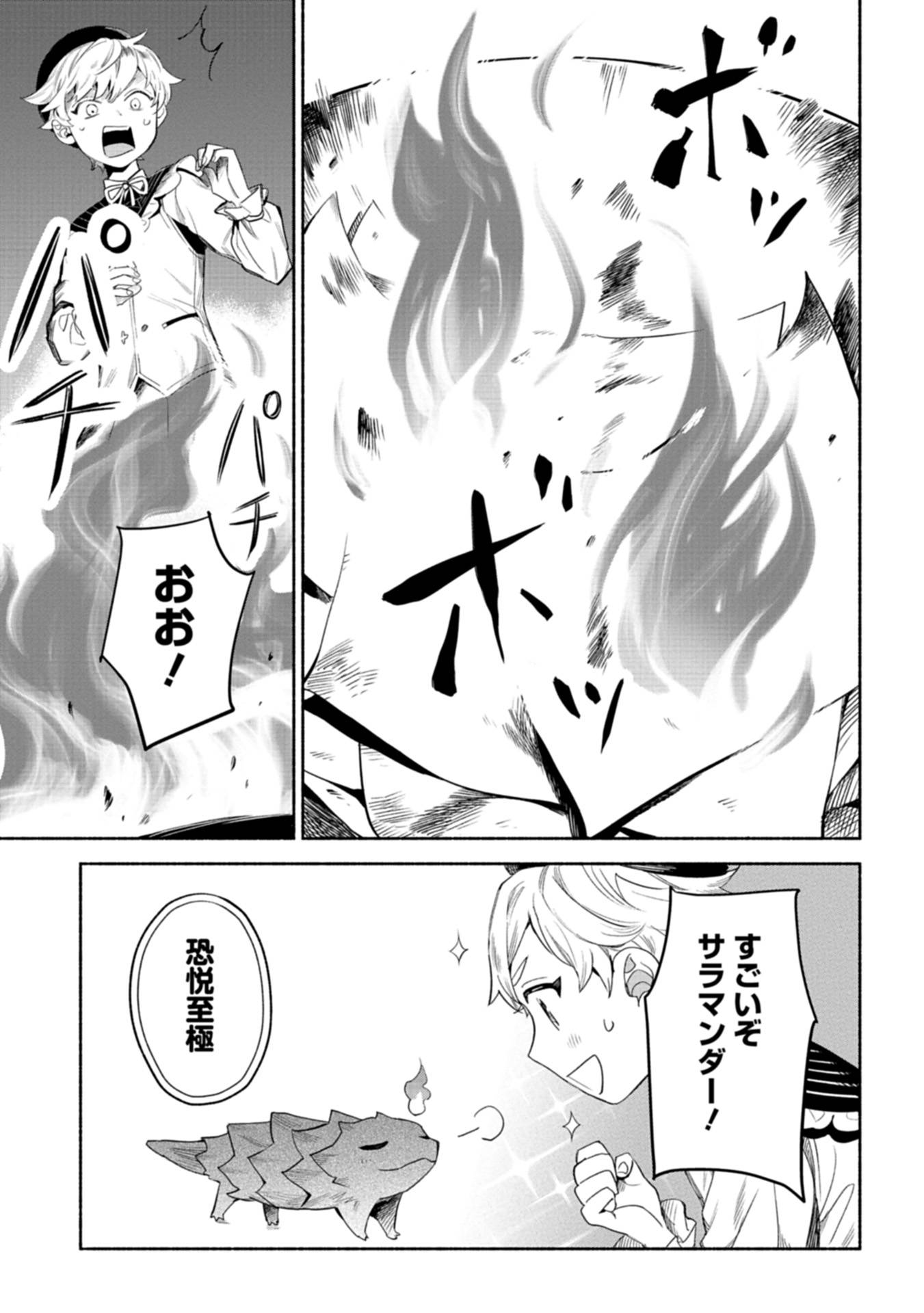 召喚スキルを継承したので、極めてみようと思います！〜モフモフ魔法生物と異世界ライフを満喫中〜 第3話 - Page 33