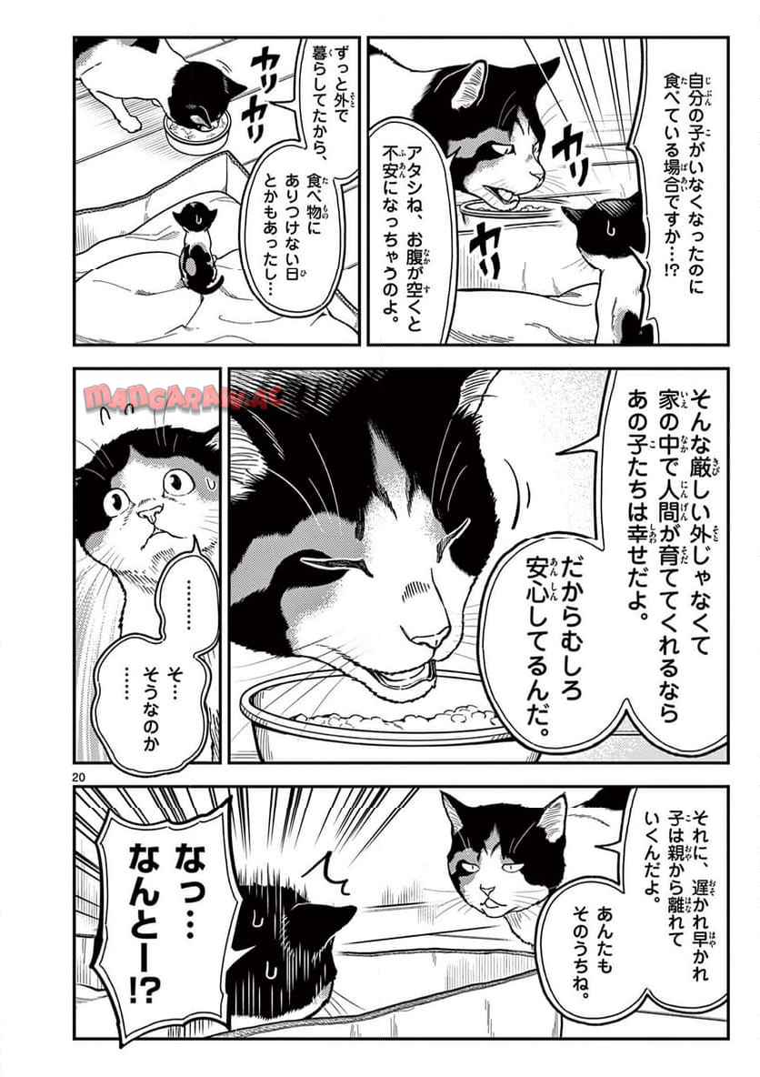 猫降臨 第1話 - Page 20