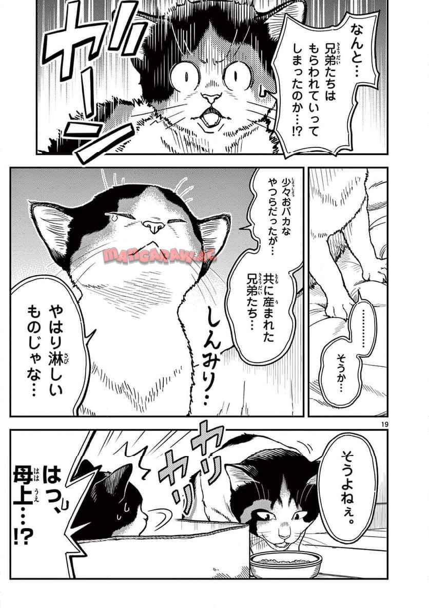 猫降臨 第1話 - Page 19