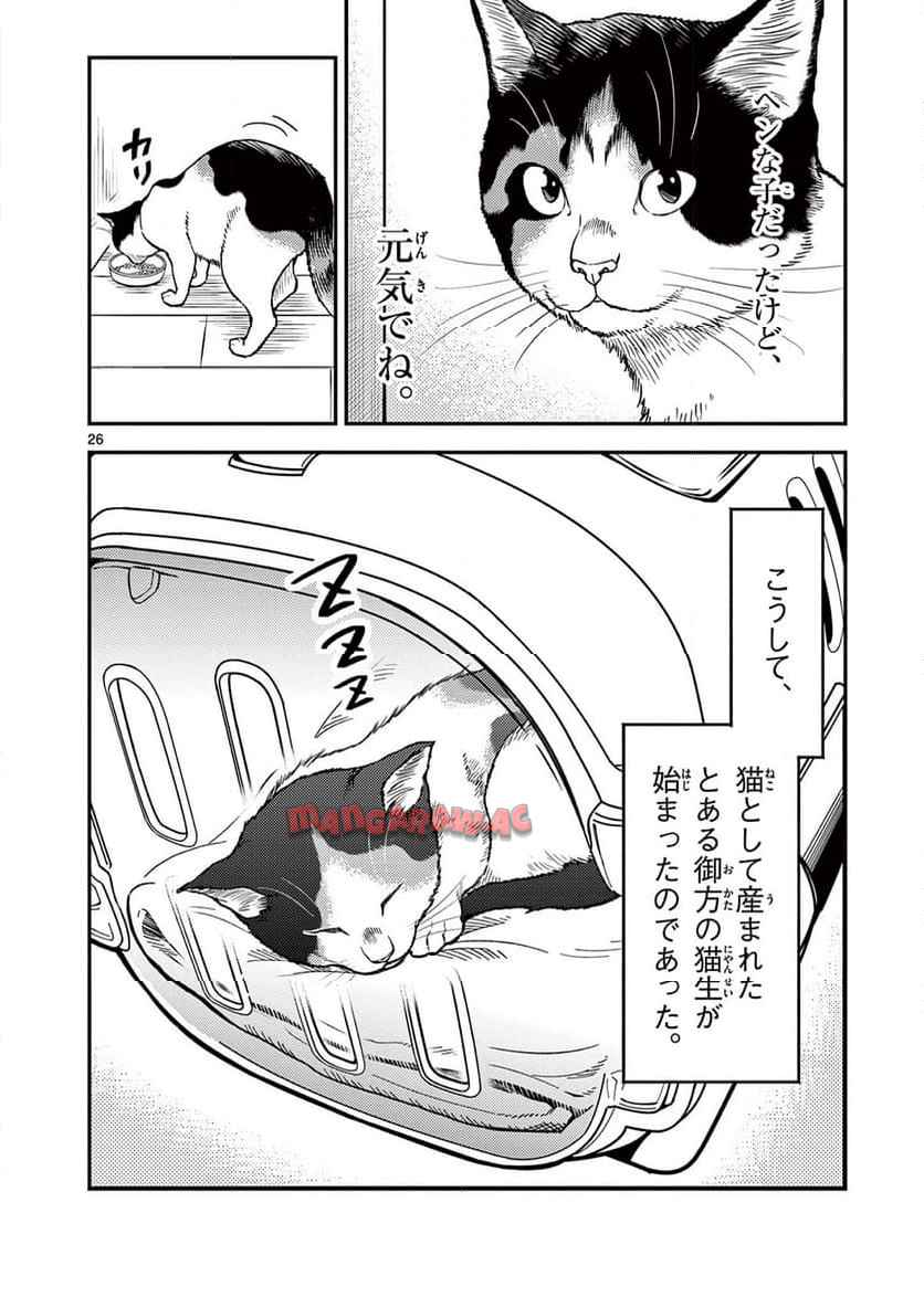 猫降臨 第1話 - Page 26