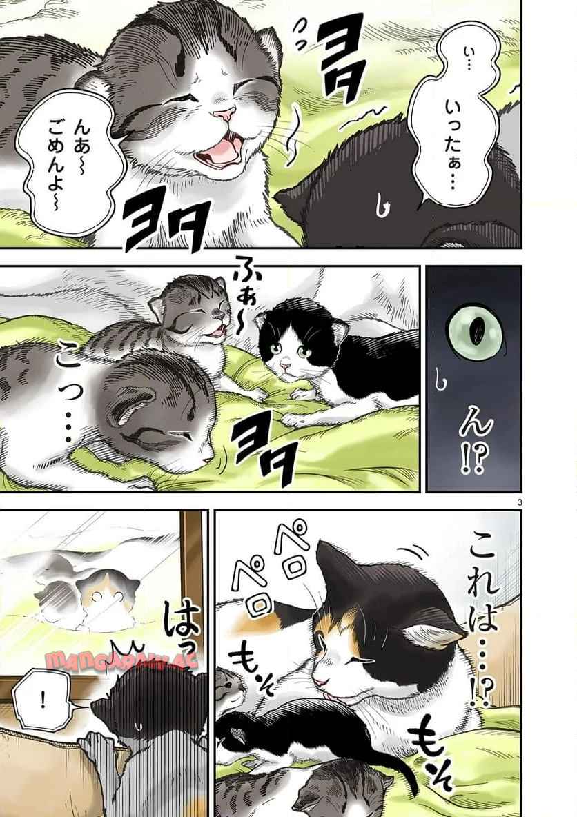 猫降臨 第1話 - Page 3