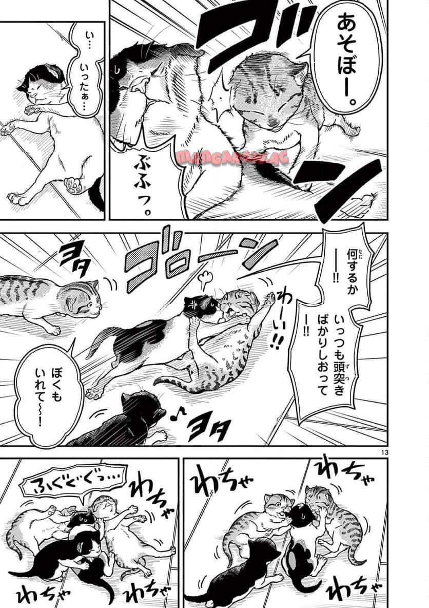 猫降臨 第1話 - Page 13
